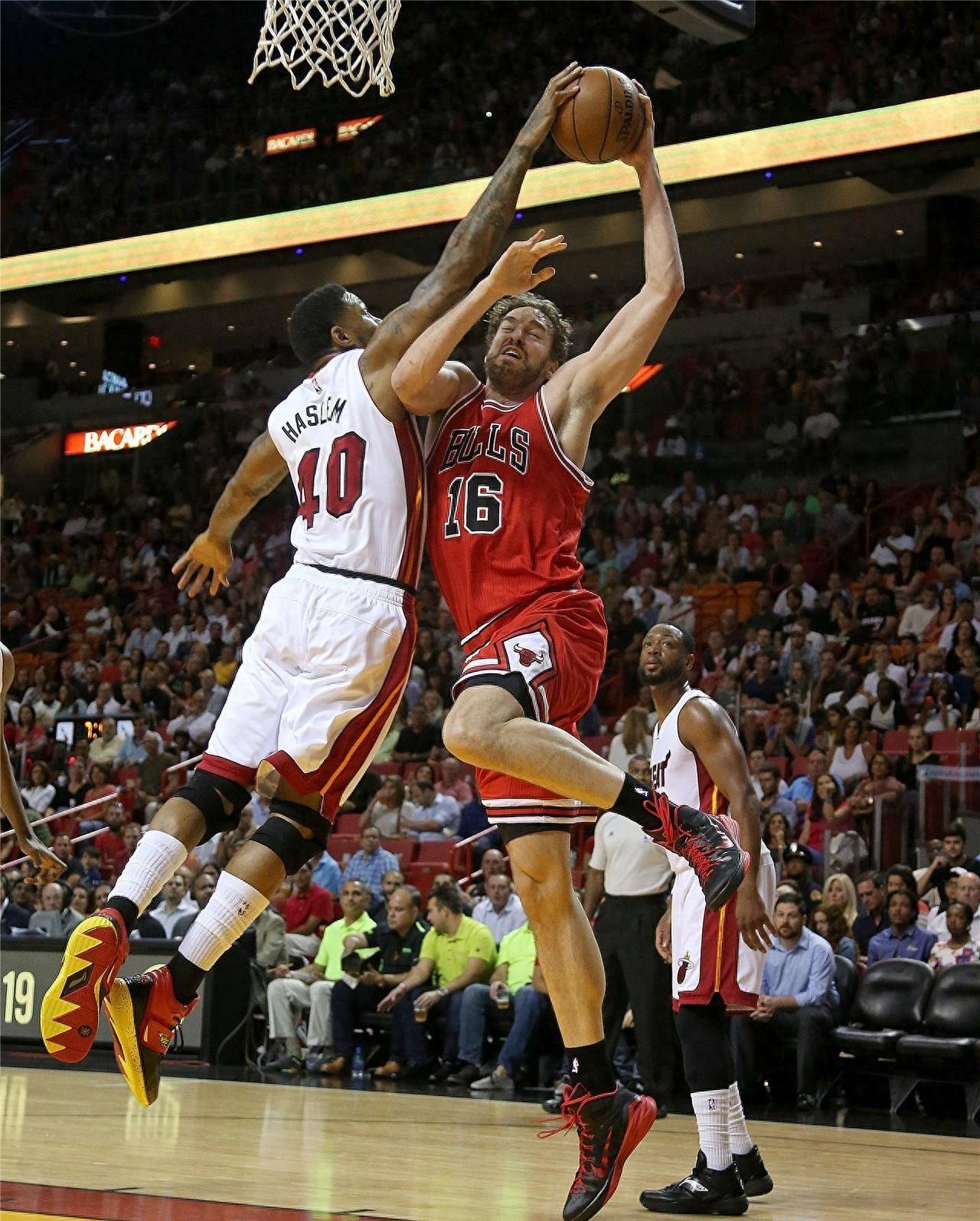 赛季的排名 赛季的排名