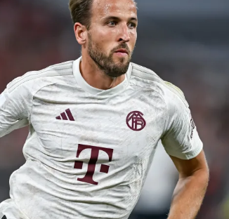 一支志在提 一支志在提